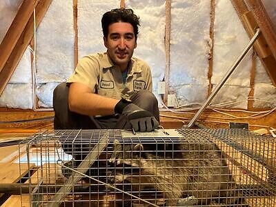 Westchester pest control